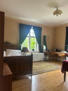 Nice room in big house - Molkom - 7
