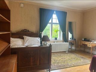 Nice room in big house - Molkom - 5
