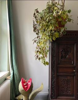 Nice room in big house - Molkom - 3