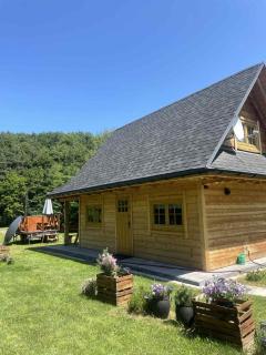 Chatka przy lesie Roztocze Szewnia Dolna 74 22-442 - 4