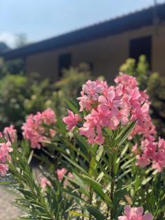 LA CASETTA Malpensa Guesthouse - Case Nuove - 9