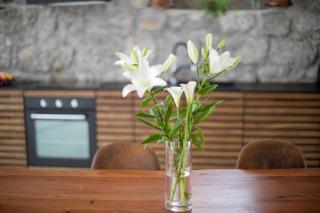 Opatija Rooftop Garden Oasis by the Beach ArtSpace - Opatija - 6