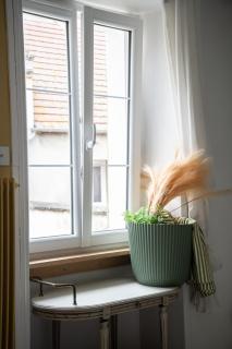 Charm and comfort - 2