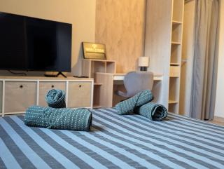 Petit appartement 1 Le charmant - Sarreguemines - 0