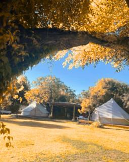 GLAMPING RANCHO ALEGRE - Merlo - 5