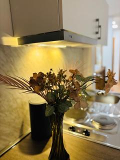 Apartments Oak - Mostar - 4