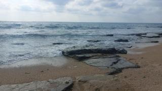 Serenity with sea view - Mashabbe Sade - 1
