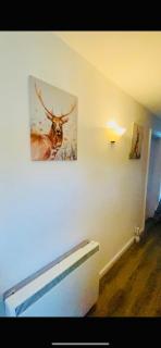 Cowslip Cottage No 3 - Moffat - 4