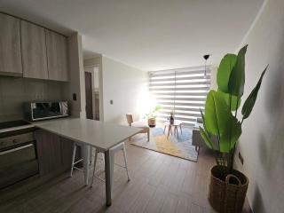 Premium Executive Apartment en Ñuñoa - Santiago - 9
