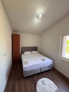 Rajkovic Stay - Bukovik - 2