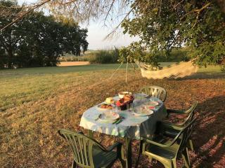 Mirelaure, Havre convivial au cœur de 32 hectares - Mirepoix - 6