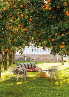 Villa Sofia - Borsh - 0