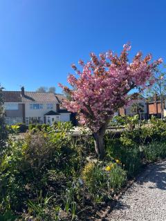 The Hideaway - Ainsdale - 9
