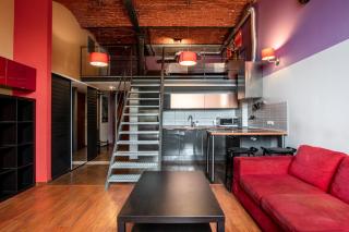 Dream Aparts - Lofty Scheiblera - 8