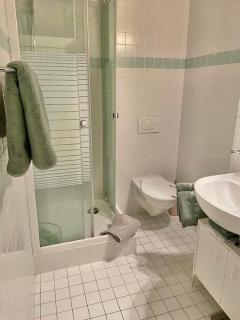 2 room apartment, free parking and wifi - Genf - 3