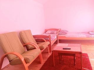 Apartman Sobek - Bajina Bašta - 8