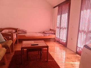 Apartman Sobek - Bajina Bašta - 6