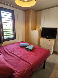 Agréable cottage pour 5 personnes dans un parc résidentiel pour des vacances reposantes en famille - Saubrigues - 2