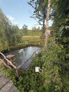 Садиба 2 Підкова чан та сауна - 8