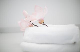 Opatija Loft Rooftop Garden by the Beach ArtSpace - Opatija - 1