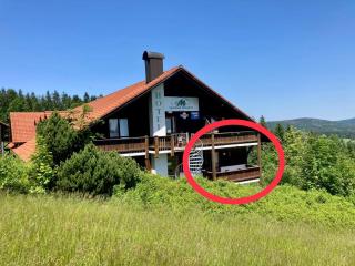 Aotearoa - Mountain apartment in Bavaria, Mitterdorf - Mitterfirmiansreut - Philippsreut - 0
