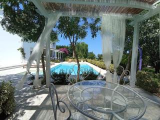 Tenuta viale degli ulivi - 2