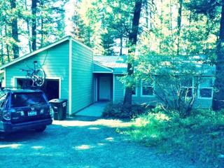Cozy Cabin in McCall - McCall - 3