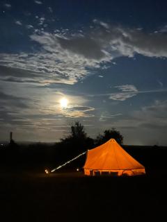 Farks - at Neddy Green - Cedar - 4