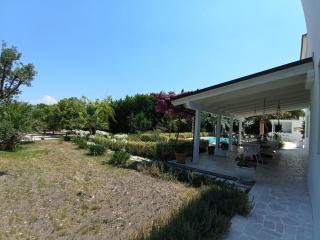 Tenuta viale degli ulivi - San Martino in Pensilis - 7