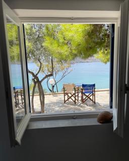 Mamma Mia II - Tolo - 9
