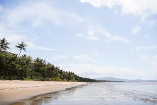 Daintree Beach Resort - Wonga - 9