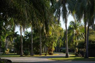 Daintree Beach Resort - 7