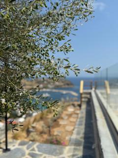 PETRA Luxury Villas - Agii Apostoli - 9