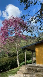 Buena Vista - Casa e suítes - Vistas deslumbrantes em Petrópolis - 4