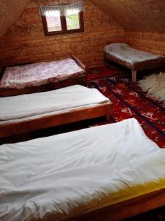 Odmaraliste PURISIC - Plav - 9