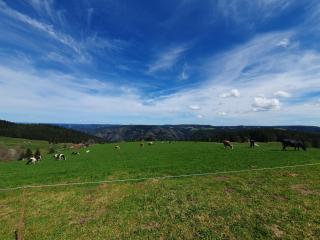 Haus Schanzenblick Fewo 4 - 2