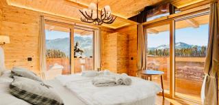 Das Kitz - Chalet Steuerberg XL Kitzbühel - Kitzbühel - 4