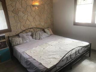 Magnifique villa au pied du Vercors - 7