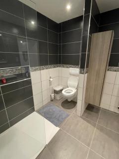 Magnifique villa au pied du Vercors - 4