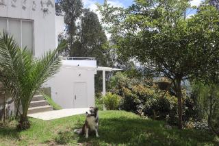 Apartment in Tumbaco - Ilalo - Hacienda Rumihuaicu - 5