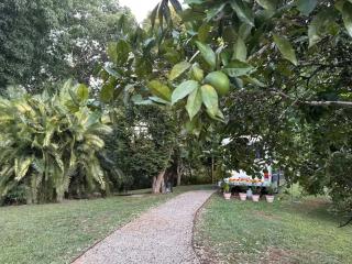 Bello BigRig Luxury Riverfront Escape Close to Town - Bellingen - 7