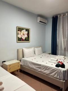 Colour House - Tirana - 4
