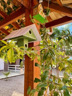Cabanas da Vó Nena - Palhoça - 1