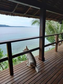 Oceanfront Sanctuary, Private Reef & Sunsets - 4