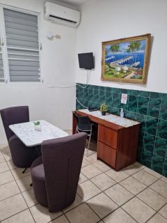 Humacao Guest House 3 - Humacao - 3