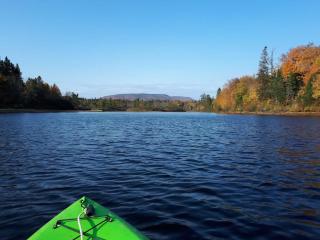 Le Grand Heron - Waterfront Cabin with Spa - 9