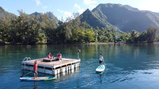 tahiti-bungalow at Teahupoo: beachfront with pountoon and mini pool - Teahupoo - 0