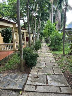 Coco Chill PQ Bungalow - Phu Quoc - 1