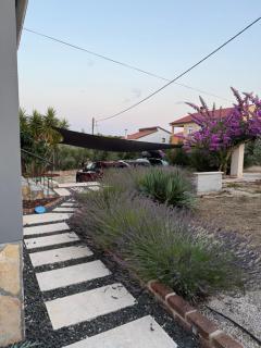 Pablo's holiday house - Ugljan - 1