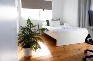 North Central Spacious Charmer - 5